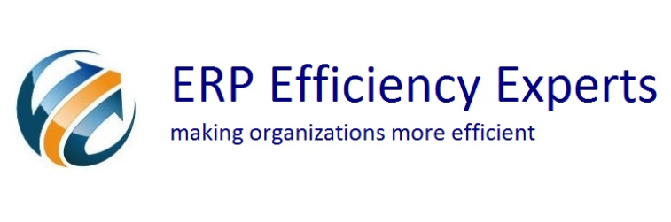 ERP Efficiency company logo